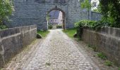 Tour Zu Fuß Kölleda - Rundweg Beichlinger Schmücke - Photo 5