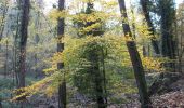 Trail Walking Orival - 20221117-Les Essarts  - Photo 9