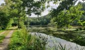 Tour Wandern Saint-Hubert - rando arville 13/08/2020 - Photo 7