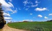 Tour Zu Fuß Seifhennersdorf - LG-Gelber Strich - Zittau-Seifhennersdorf - Photo 9