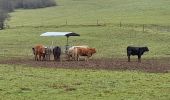 Tocht Stappen Aubange - Marche ADEPES Halanzy - Photo 3