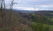 Trail Walking Durbuy - barvaux - Photo 2