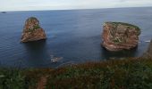 Trail Walking Hendaye - Hendaye samedi JP  - Photo 5