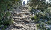 Trail Walking Cabrières-d'Avignon - CABRIERE les Avignon - Photo 3