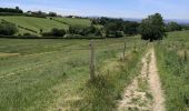 Randonnée Marche Chasselay - Le bois Chatelard - Photo 6