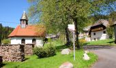 Tour Zu Fuß Todtmoos - Lebküchlerweg Todtmoos - Photo 3