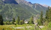 Randonnée Marche Chamonix-Mont-Blanc - la cascade du Dard à gare de Chamonix  - Photo 10