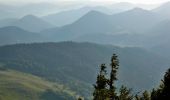 Tour Zu Fuß Gemeinde Reichenau an der Rax - Weichtalhaus - Kientalerhütte - Edelweißhütte (Schneeberg) - Photo 3