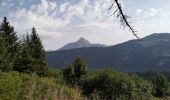 Tour Wandern Morzine - 74-Avoriaz-cretes-belvedere-10km-360 - Photo 12