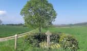 Randonnée Marche Marlenheim - Circuit sur les hauteurs de Marlenheim - Wasselonne autour du Stephansberg - Photo 8