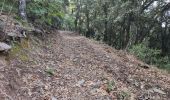 Trail Walking Pignans - Notre dame des anges - Pignans - Photo 15