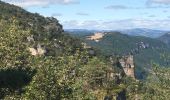 Excursión Senderismo Veyreau - Corniche du Causse noir (Le point sublime)  - Photo 8