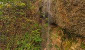 Tocht Te voet Stäfa - Stäfa-ein Dorf bewegt: Risitobel - Püntacher - Photo 7