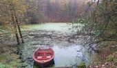 Tour Wandern Braine-le-Comte - le griffon du bois commun Hennuyères - Photo 3