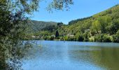 Randonnée  Capdenac-Gare - Capdenac le fel - Photo 3