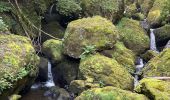 Tour Wandern Salins - Rando cascade Salins - Photo 1