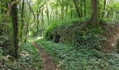 Trail Walking Héricourt - Héricourt - fort Mont Vaudois - poudriére puis batterie d'Urcerey - Echenans - Photo 5