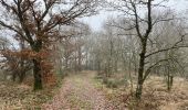 Tocht Stappen Lac de la Haute-Sûre - Bavigne 15,6 km - Photo 2