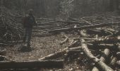 Randonnée Marche Porte-des-Bonnevaux - Les étangs de Nantoin  - Photo 3