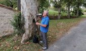 Tour Wandern Loubens-Lauragais - 1-10-24 - Photo 5