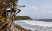 Tocht Stappen Le Marigot - Marigot vers le Lorrain - Photo 11