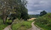 Trail Walking Riemst - autour de Kanne via vignobles et carrière  - Photo 19