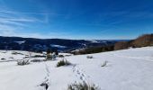 Randonnée Raquettes à neige Murat-le-Quaire - la Banne par le tenon - Photo 8
