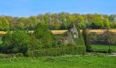 Tour Wandern Philippeville - Balade à Omezée - Photo 19