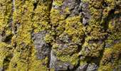 Percorso A piedi Mondercange - Sentier Dumontshaff - Photo 2