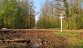 Randonnée Marche Rethondes - en forêt de Laigue_1_le Grand Octogone - Photo 2