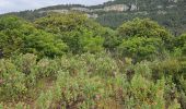 Trail Walking La Farlède - Promenade vers le petit Coudon - Photo 5