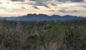 Tocht Stappen Puget-sur-Argens - z la lieutenante 28-01-20 - Photo 3