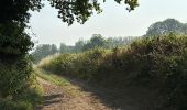 Trail Walking Herne - Herfelingen 16 km - Photo 3
