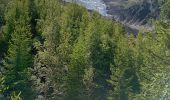 Tour Wandern Chamonix-Mont-Blanc - Chamonix, cascade du dard,  glacier des boissons - Photo 1