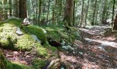 Tour Wandern Bellefontaine - Le point de vue de la roche devant - Photo 6