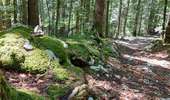 Trail Walking Bellefontaine - Le point de vue de la roche devant - Photo 6