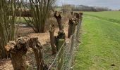 Trail Walking Tervuren - Promenade XT2 - Photo 11