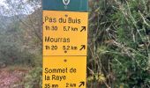 Randonnée  Ourches - Ourches Cobonne col croix Bezot - Photo 5