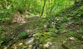 Excursión Senderismo Bouillon - Balade à Ucimont - Photo 11