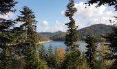 Trail Walking Badonviller - Tour du lac de Pierre-Percée depuis les cabanes du lac - Photo 19