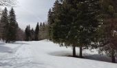 Randonnée Raquettes à neige Autrans-Méaudre en Vercors - Pas de Nave  - Photo 10