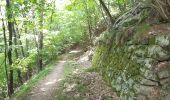 Excursión Senderismo La Cabanasse - Mois pontpedrouse après montée en train jaune  - Photo 9