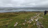 Tour Wandern West Cork - Bere Island - Photo 6