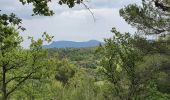 Excursión Senderismo Peynier - les vallats du Verdalaï et de Tourenne - Photo 2