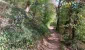 Trail Walking Theux - franchimont-maché . chinru - retour - Photo 14