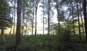 Tocht Mountainbike Chimay - Baileux - Couvin - Ry de Rome - Regniessart - 65km  : 1250 - Photo 13