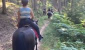 Trail Horseback riding Saint-Quirin - A la fraîche  - Photo 1