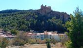 Randonnée Marche Duilhac-sous-Peyrepertuse - 7eme étape sentier cathare  - Photo 13