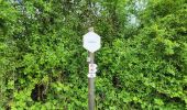 Tour Wandern Walcourt - Walcourt 230523 - Photo 5