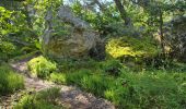 Trail Walking Oncy-sur-École - Oncy-sur-École - Grotte aux Fées  - Photo 4